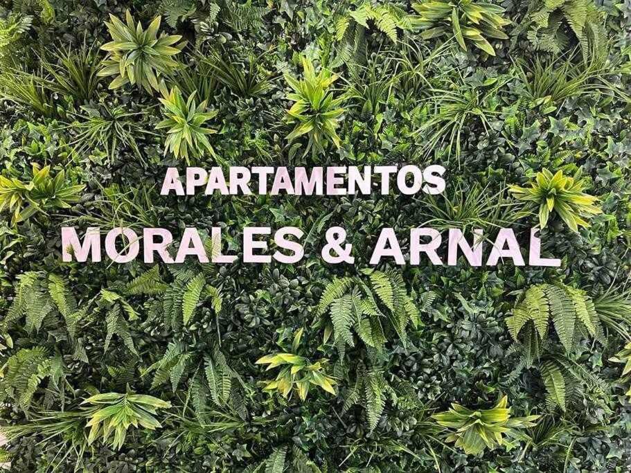 XVIII B Suite Apartamentos Morales & Arnal Ronda Eksteriør bilde